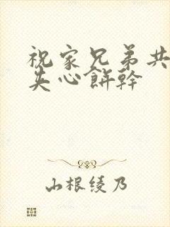 祝家兄弟共享后夹心饼干