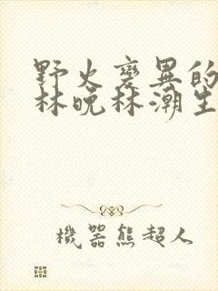 野火变异的父爱林晚林潮生