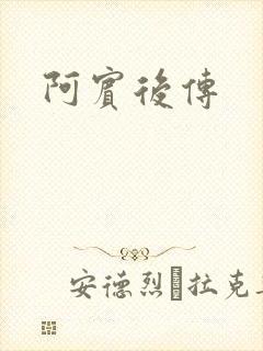 阿宾后传