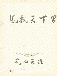 凤戏天下男