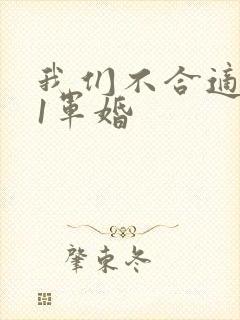 我们不合适1v1军婚