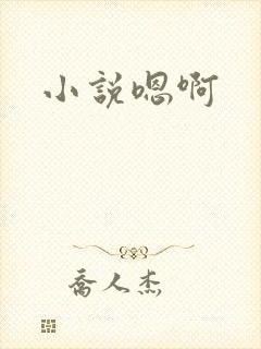 小说嗯啊