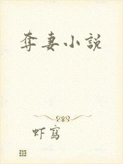 夺妻小说