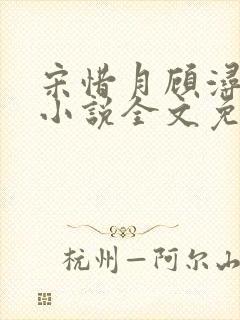 宋惜月顾浔渊的小说全文免费阅读