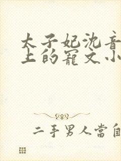 太子妃沈音和皇上的宠文小说