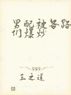 男配被各路大佬们爆炒