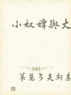 小奴婢与大少爷