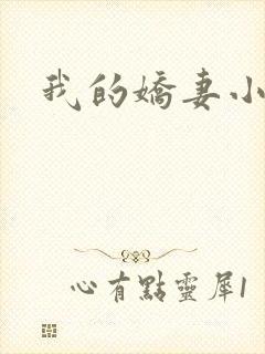 我的娇妻小说