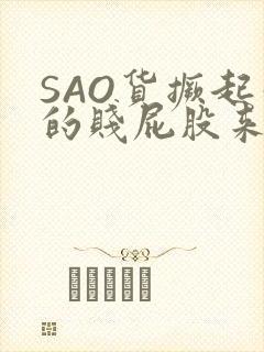 SAO货撅起你的贱屁股来