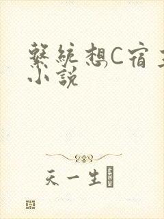 系统想C宿主的小说