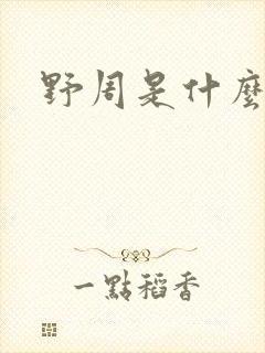 野周是什么意思