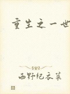 重生之一世枭雄