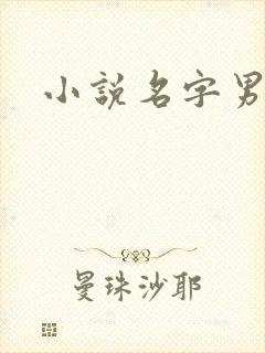小说名字男生
