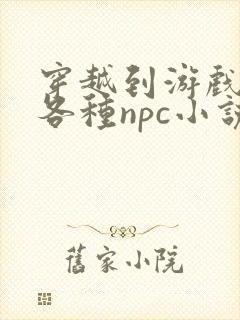 穿越到游戏里和各种npc小说