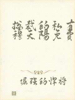 总裁的私有宝贝穆天阳免费