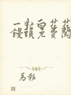 一对白花花的大馒头免费阅读