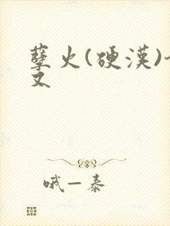 孽火(硬汉)今又