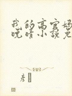 我的高官妈妈苏晚晴小说免费阅读