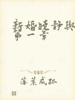 新婚晓静与翁公笫一章