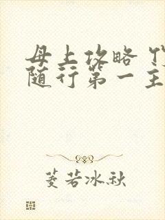 母上攻略 竹影随行第一主板