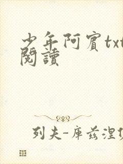 少年阿宾txt阅读