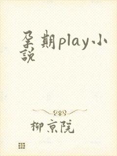 孕期play小说
