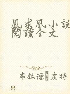 凤求凰小说免费阅读全文