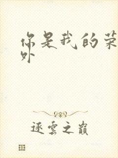 你是我的荣耀番外