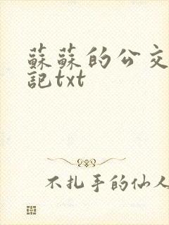 苏苏的公交车日记txt