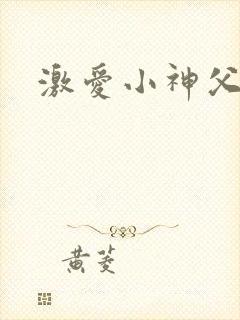 激爱小神父