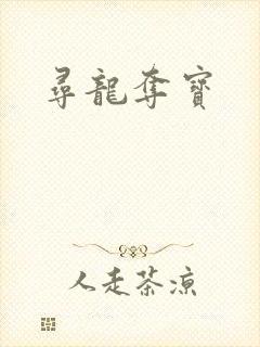 寻龙夺宝