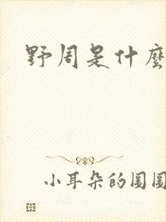 野周是什么意思