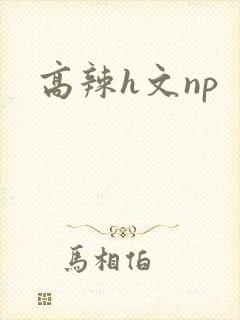 高辣h文np