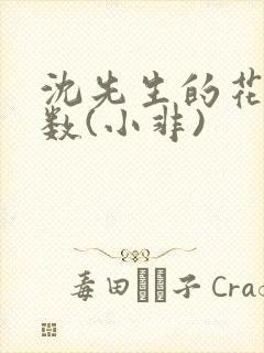 沈先生的花式调数(小非)