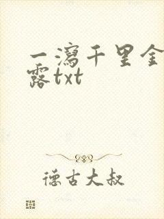 一泻千里金银花露txt