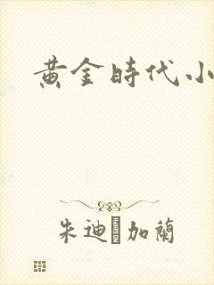 黄金时代小说