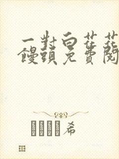 一对白花花的大馒头免费阅读