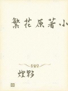 繁花原著小说
