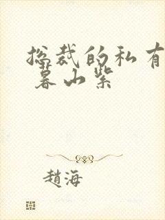 总裁的私有宝贝 暮山紫