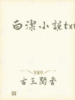 白洁小说txt