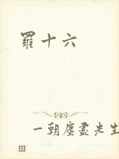 罗十六