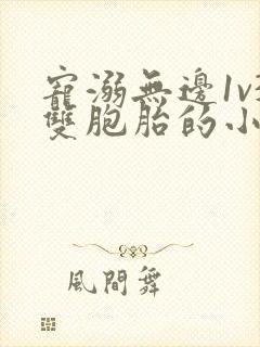 宠溺无边1v3双胞胎的小说