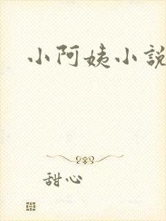 小阿姨小说
