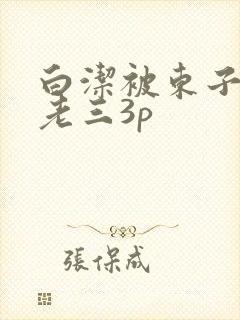 白洁被东子老二老三3p