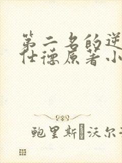 第二名的逆袭高仕德原著小说