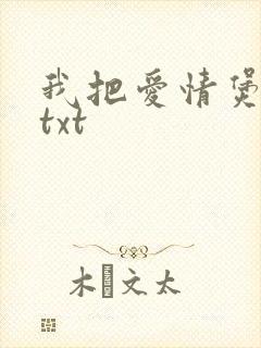 我把爱情煲成汤txt