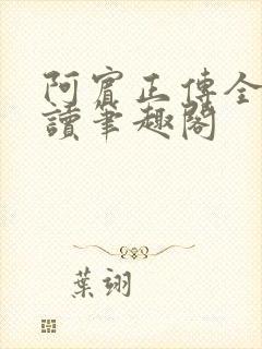 阿宾正传全文阅读笔趣阁