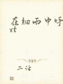 在细雨中呼喊txt