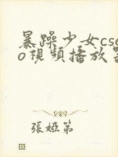 暴躁少女csgo视频播放器推荐