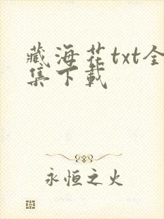 藏海花txt全集下载
